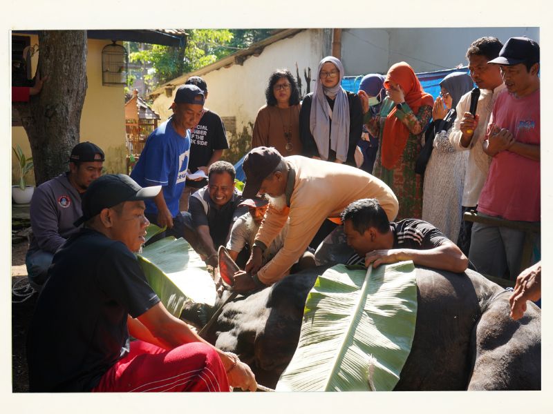 Penyembelihan Hewan Qurban Hari Raya Idul Adha 2025